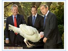 A picture named Turkey_Bush.1.jpg