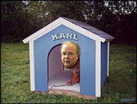 A picture named karl_doghouse.0.jpg