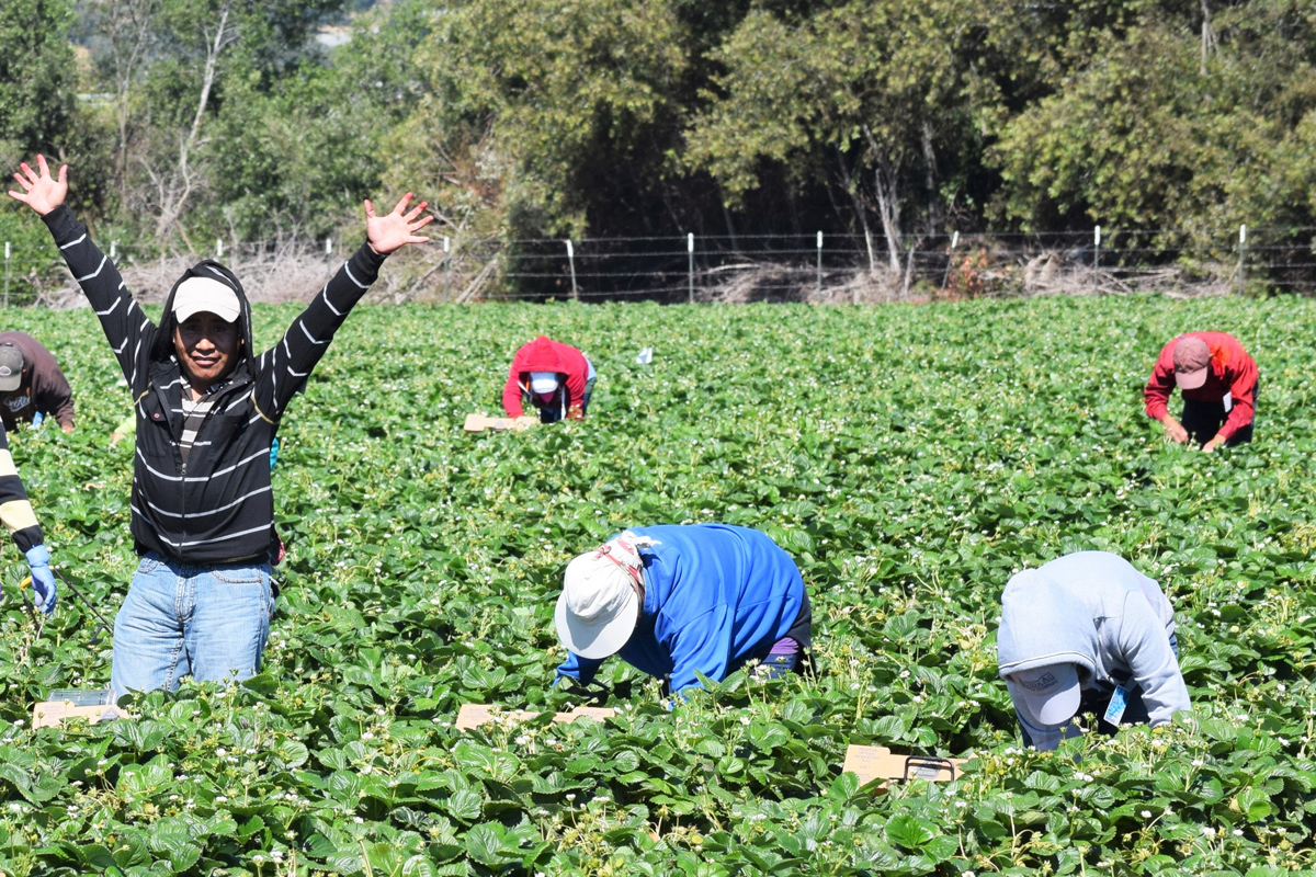 remember farm workers at your labor day barbeque