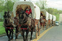 A picture named wagon_train.jpg