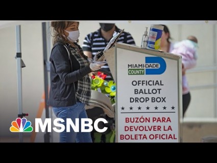 Maddow: FL GOP May Have Cut Ballot Access To Their Own Voters - Vimarsana News