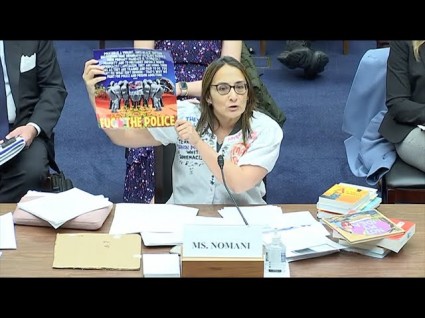 GOP Turns Hearing On Violence Into A Clown Show - Vimarsana News