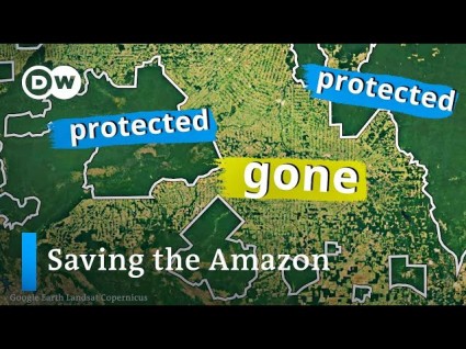 ‘Shocking’ Study Finds Amazon Rainforest At Tipping Point | Crooks and ...