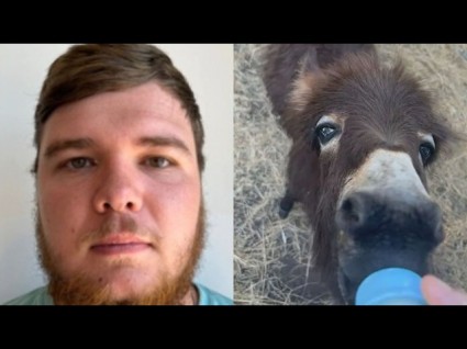 Police Protection For Petting Zoo Donkey Killer
