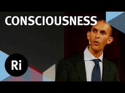 Is Consciousness A Controlled Hallucination?