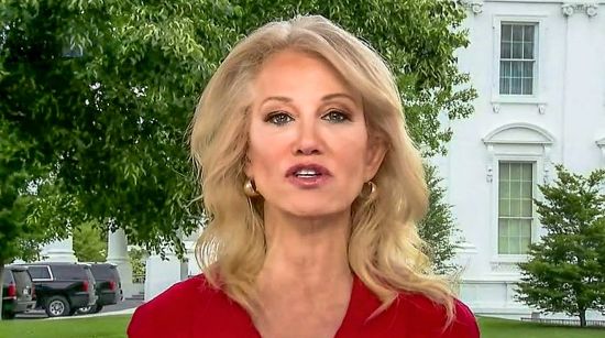 Kellyanne Conway Makes Gross Sex Statement About Biden's Vice Presiden...