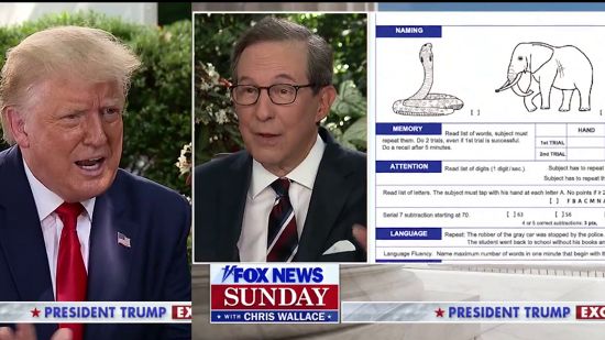 Chris Wallace Challenges Trump On Mental Acuity Test He Brags About ...