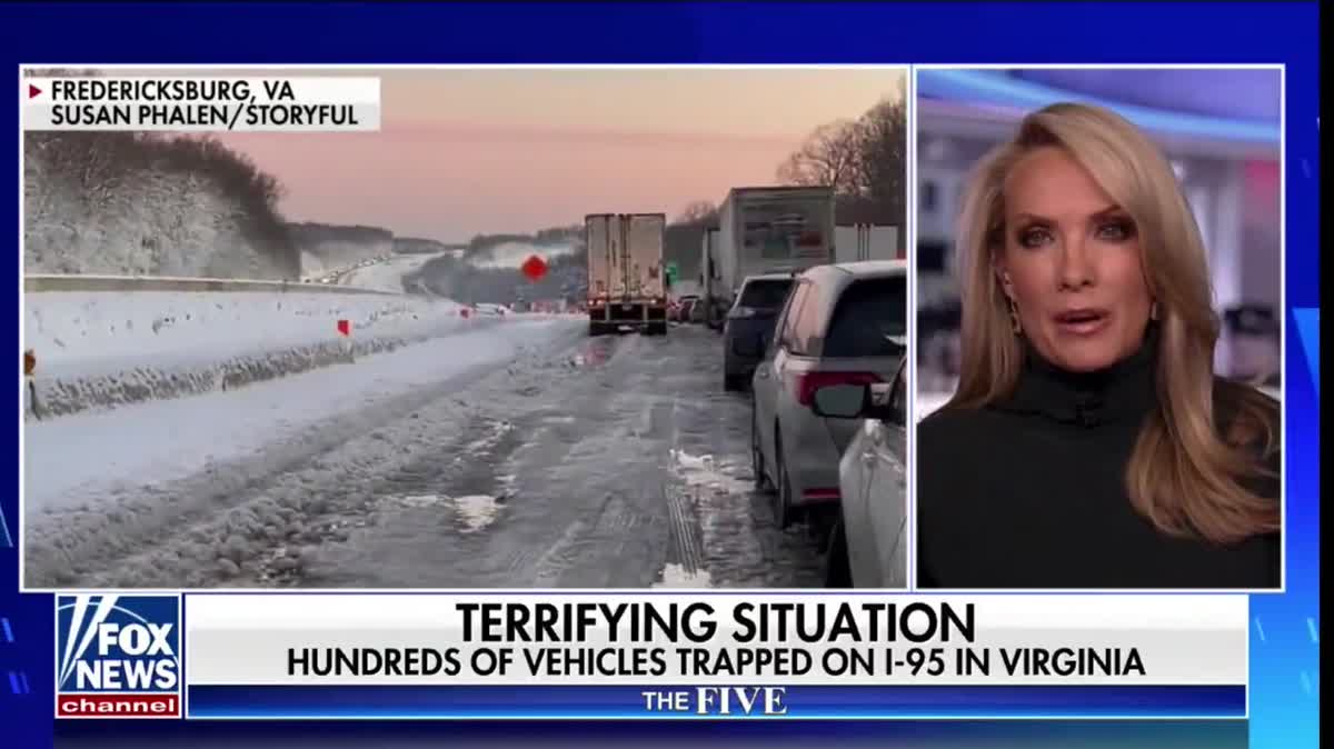 Dana Perino Blames Liberals For I-95 Traffic Mess. Guess Why? - Vimarsana News