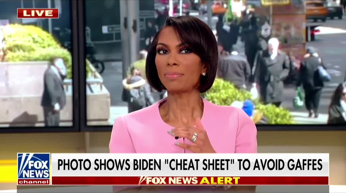 Fox News Needs A Timeout For Their Childish Barrage Of Biden Insults - Vimarsana News