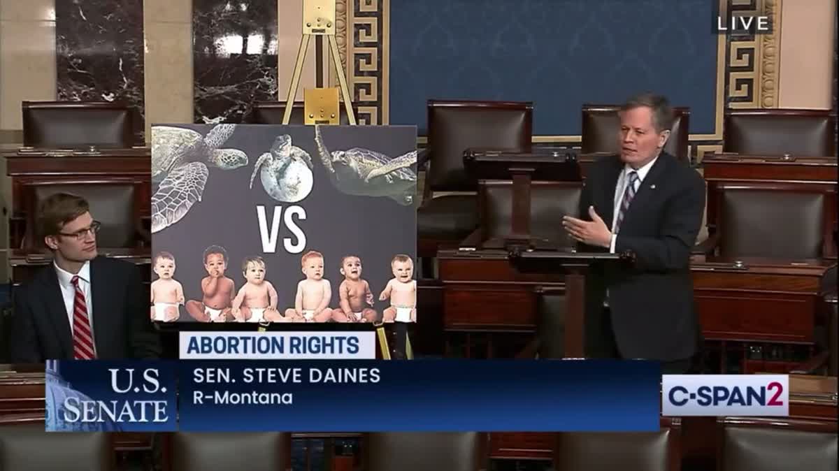 Sen. Daines: Abortion Should Be Illegal – Because Sea Turtle Eggs! - Vimarsana News