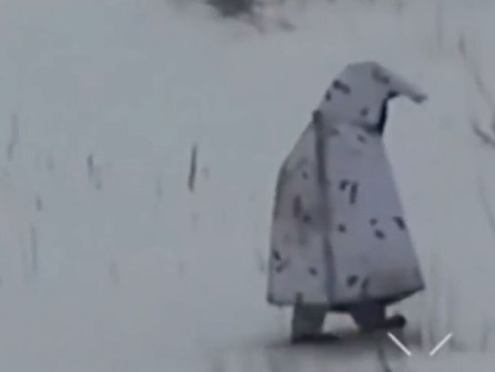 Another Russian Armed Forces Penguin Has Been Killed In Ukraine