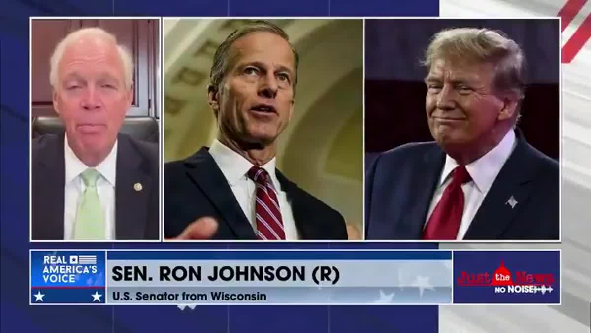 Ron Johnson Accuses Democrats Of Cheating In L.A. Election