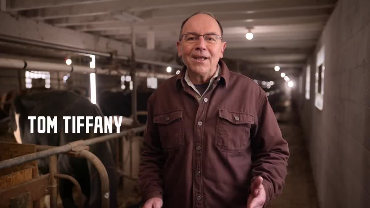 Tiffany Ad In Which He Promises To Protect Our Homes