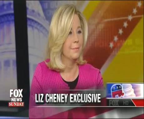 Liz Cheney Shoots Down Lesbian Sister's Call For Marriage Rights: 'We