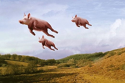 flyingpigs