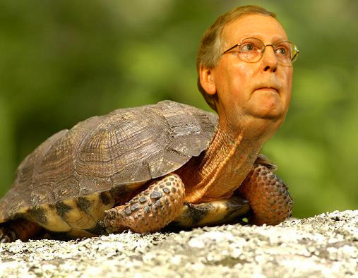 2018 Crookie Head In The Sand Award: Mitch McConnell | Crooks and Liars