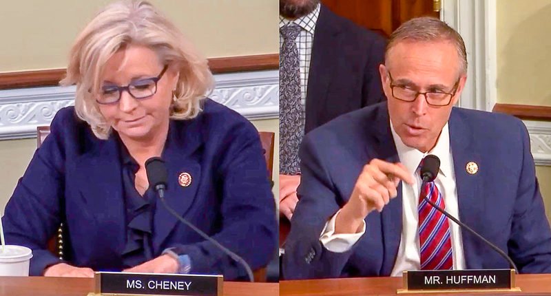 Liz Cheney Called Out For Lying About Green New Deal ...