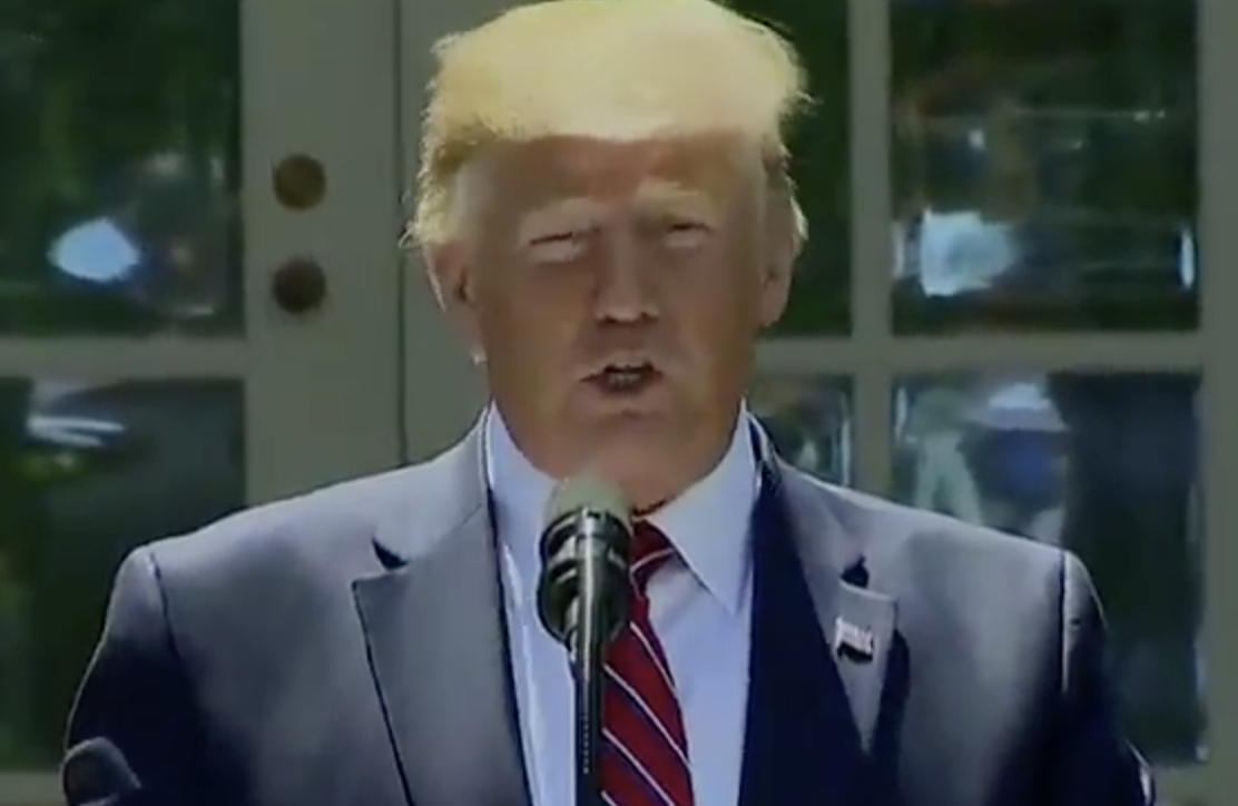 Trump Bizarrely Says 'It’s Not What I Meant, It’s What I Said'