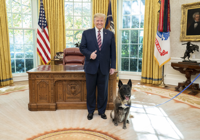 White House Stands Behind Its Story That Conan Is A Male Dog | Crooks ...