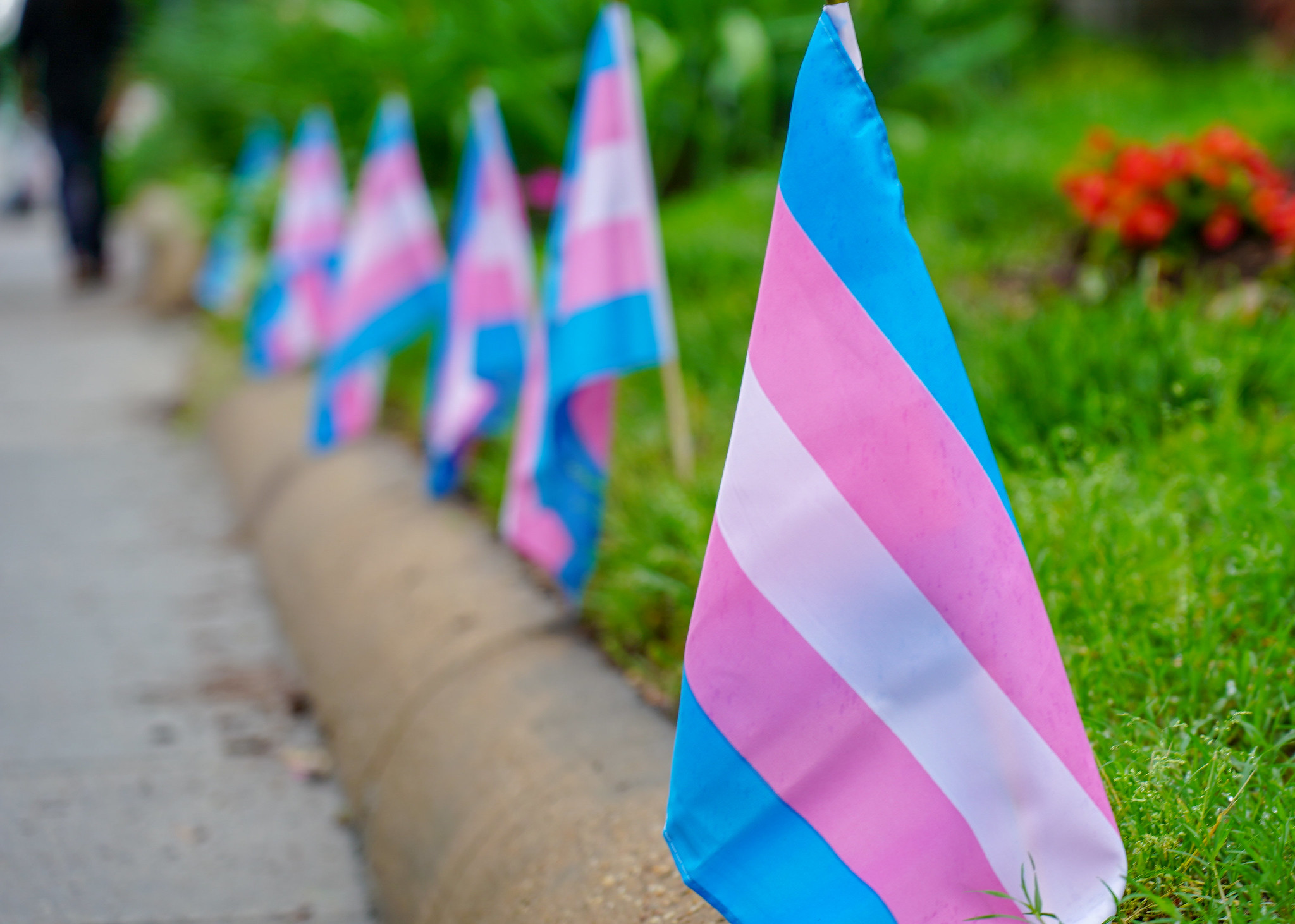 A Guide To Choosing A Trans-Inclusive College - Vimarsana News