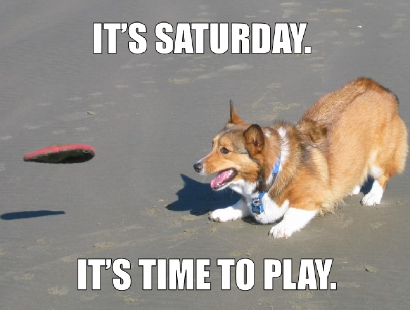 Mike's Blog Round Up - Vimarsana News
