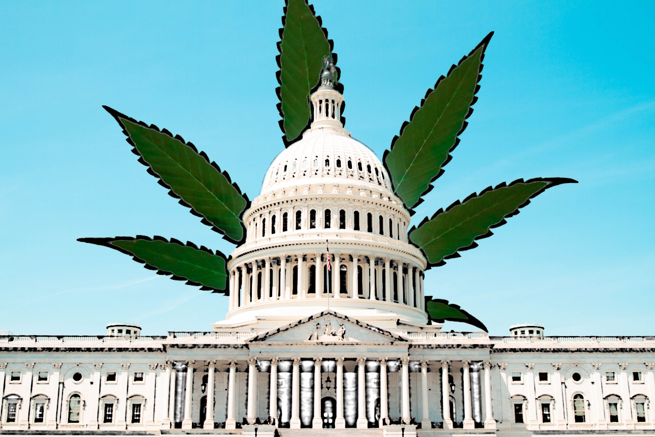 Multiple Marijuana Legalization Bills Arrive At Capitol Hill