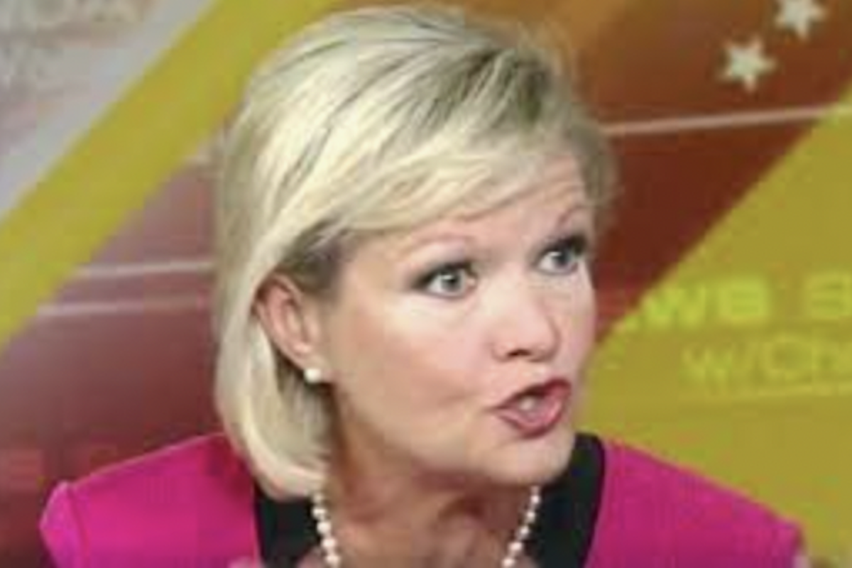 MAGA Lawyer Tricked Into Admitting Mark Meadows Committed Voter Fraud - Vimarsana News