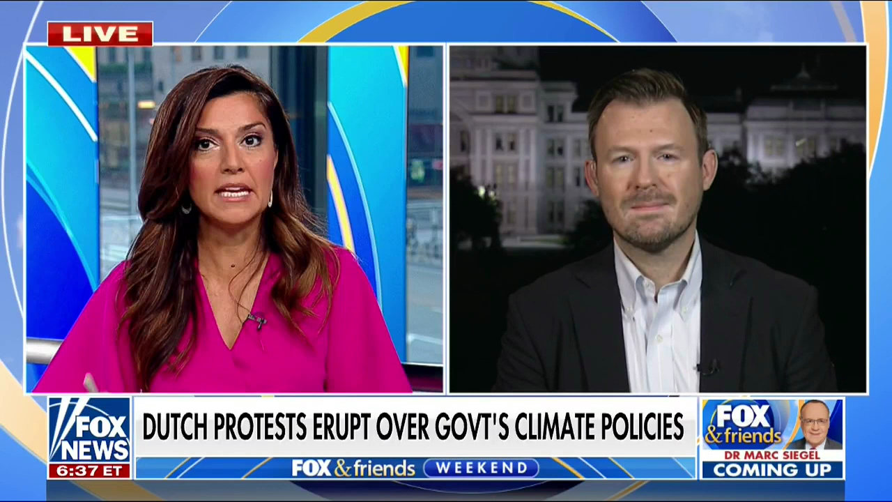 'Eating Bugs Is In Our Future': Fox Jumps In With Far Right On Dutch ...