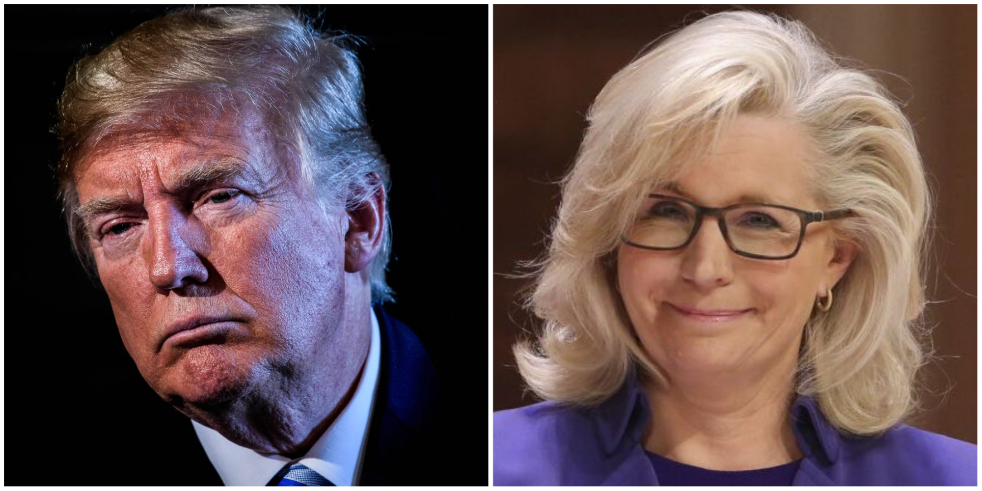 Trump Losing To Liz Cheney In Red State Utah Poll - Vimarsana News