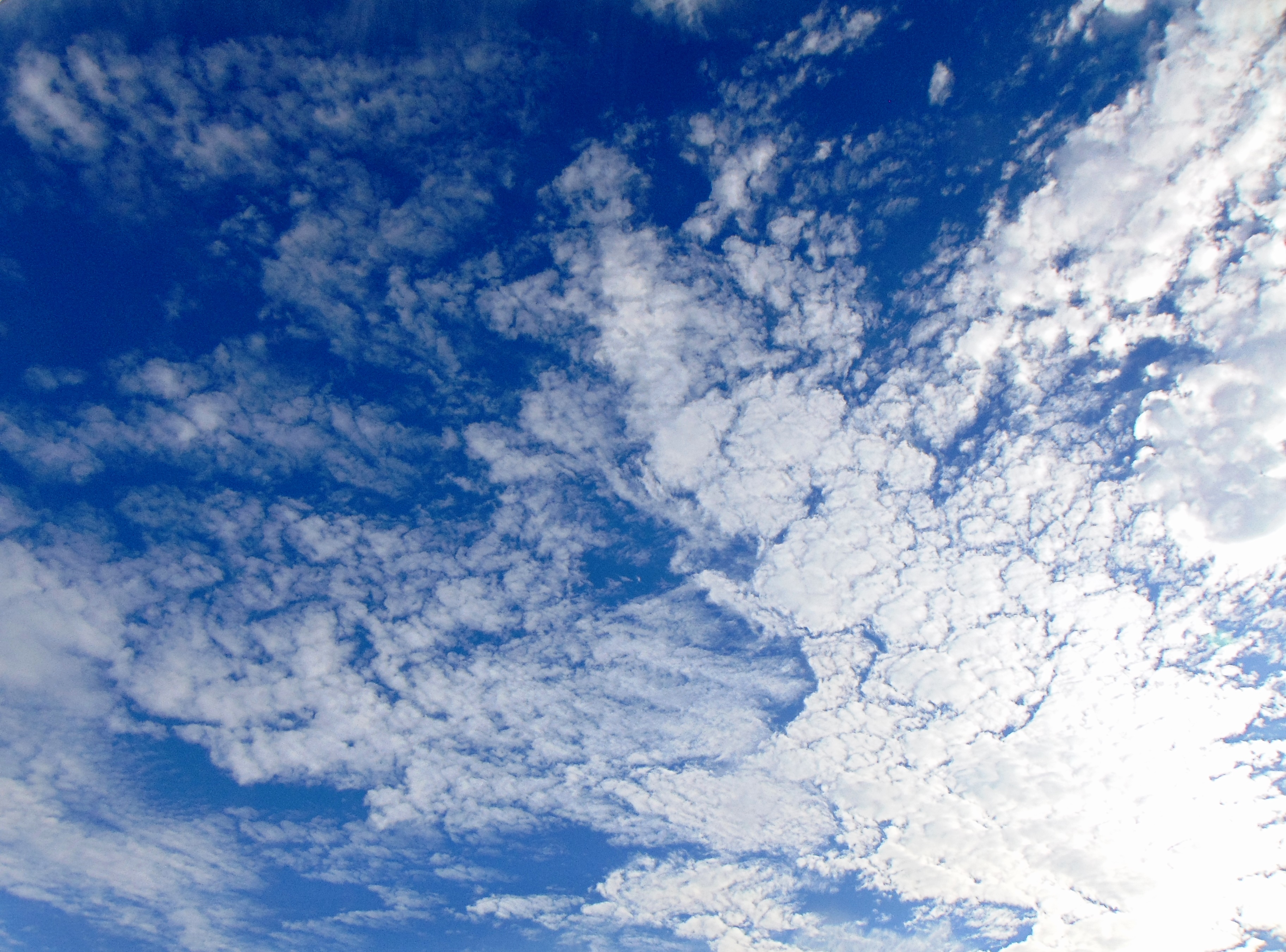 Mike's Blog Round-Up - Vimarsana News