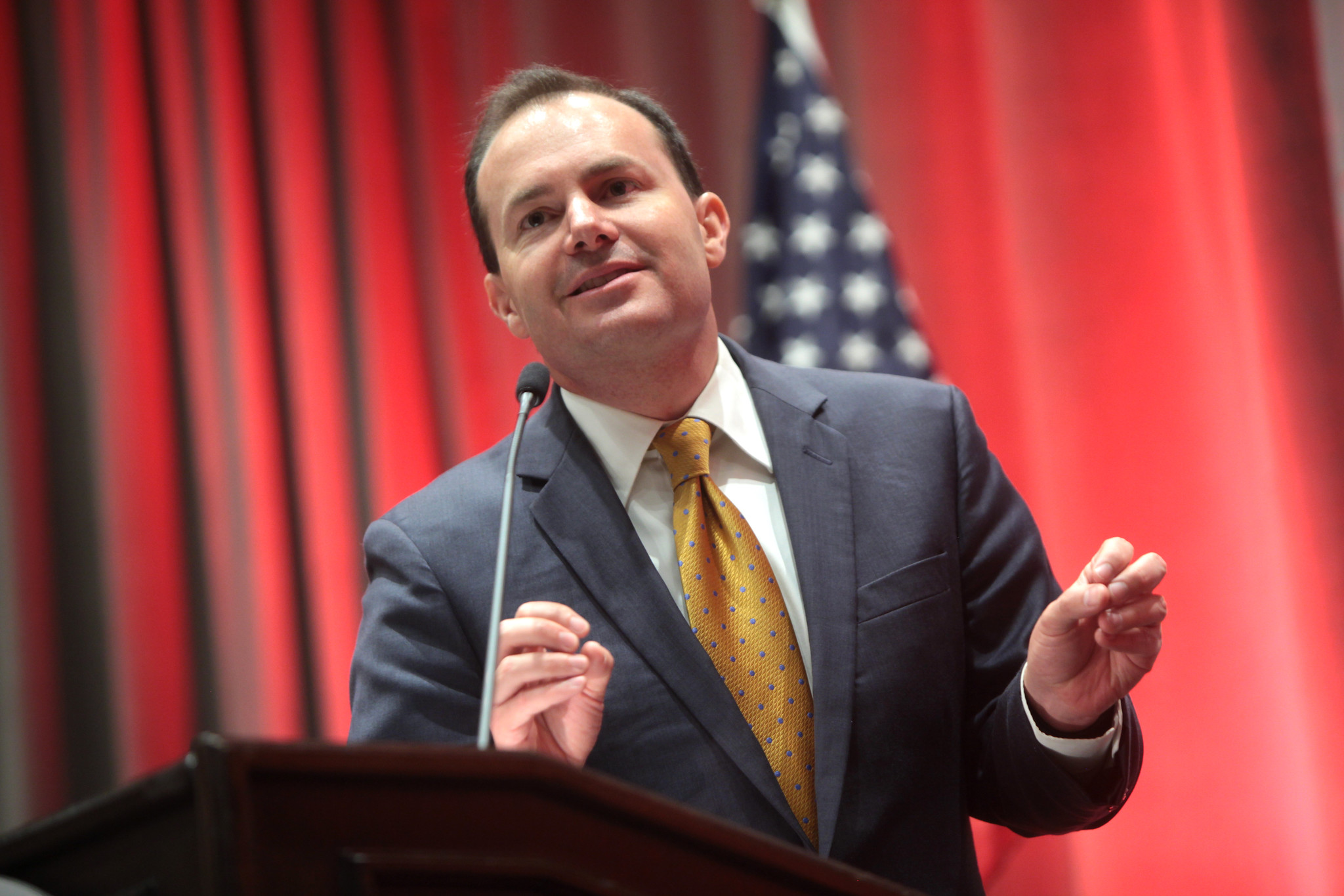 Is Mike Lee Endorsing A Troll Named Catturd For 2028? Maybe! - Vimarsana News