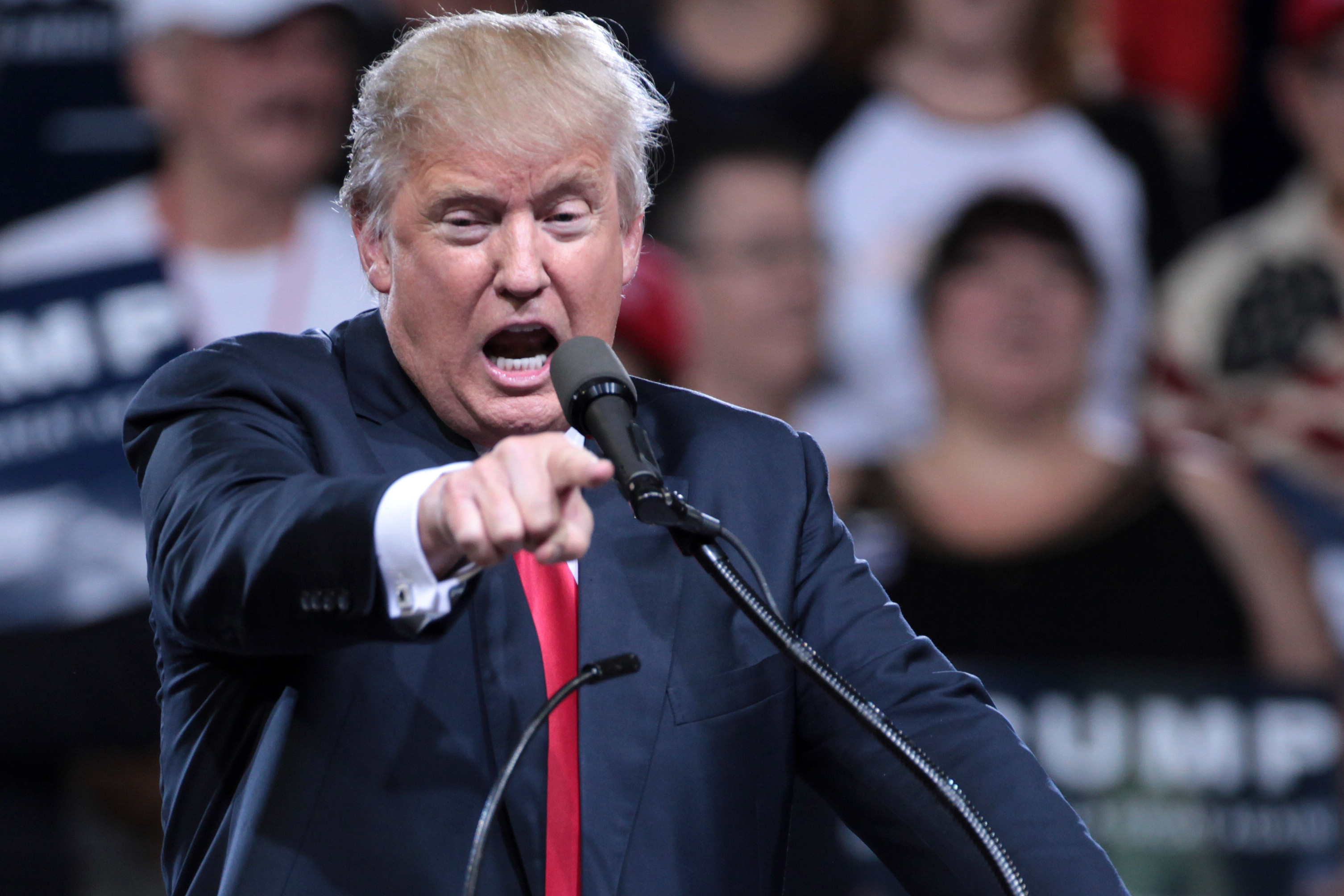 'Chocking Like A Dog': Trump Unloads On 'Maggot Haberman' - Vimarsana News