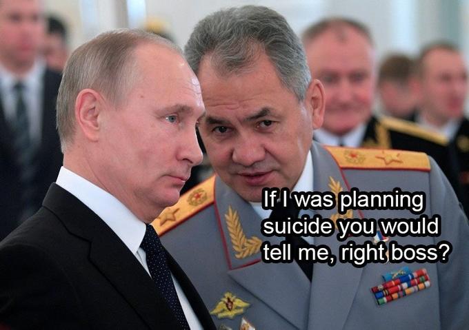 Putin Removes Defense Minister Sergei Shoigu