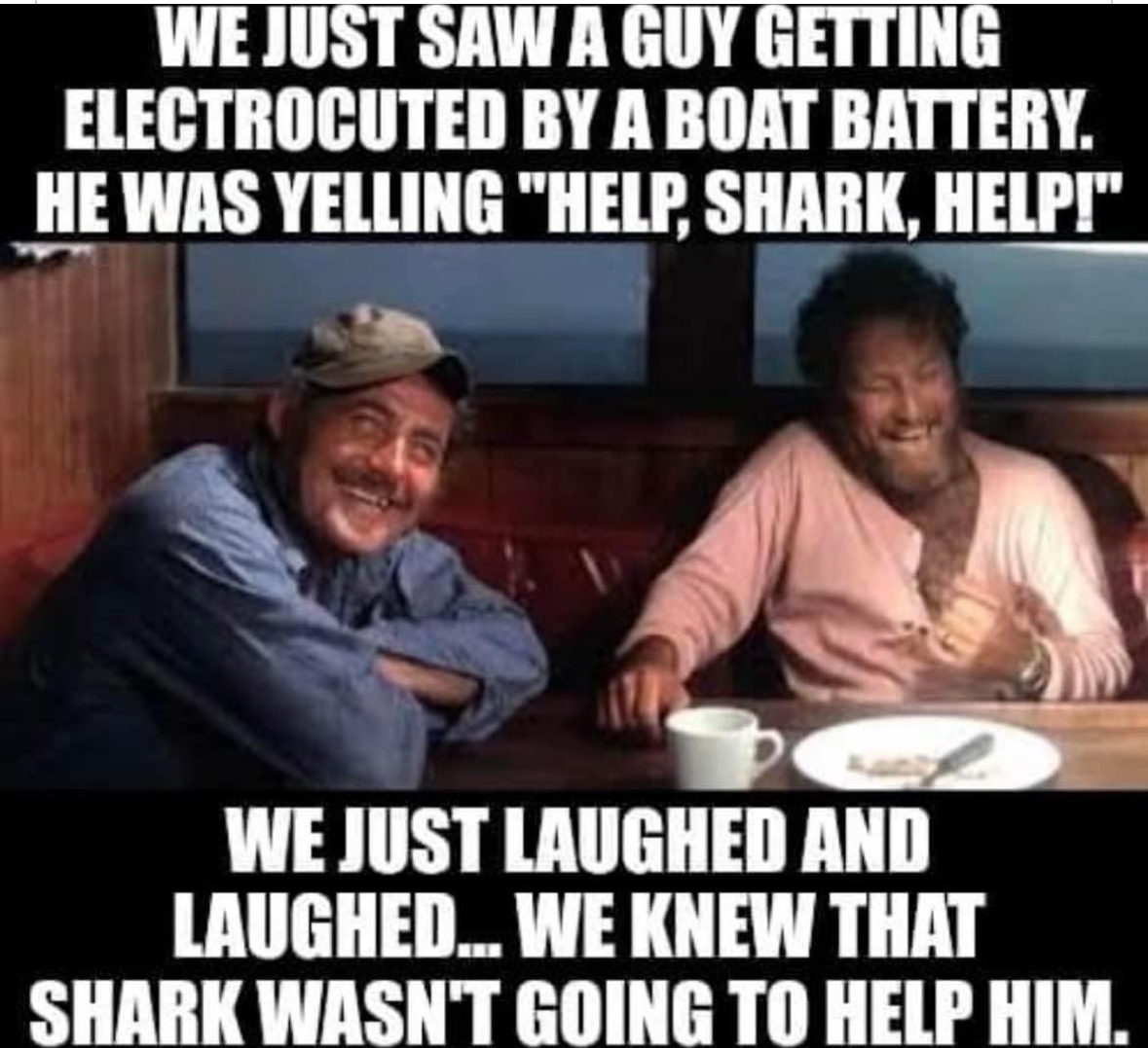 trump shark meme