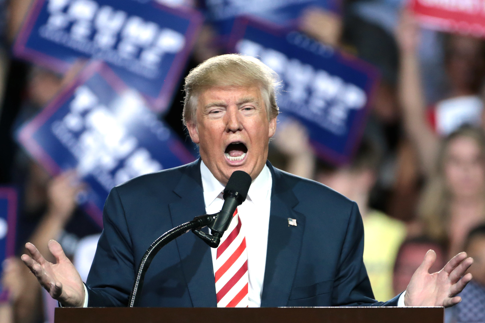 Donald Trump Hate-Watched The Grammys, And He Wants To Sue