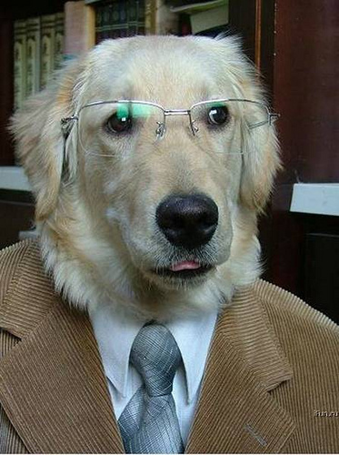 dog_professor.jpg