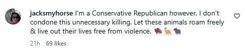 insta_comment.jpg