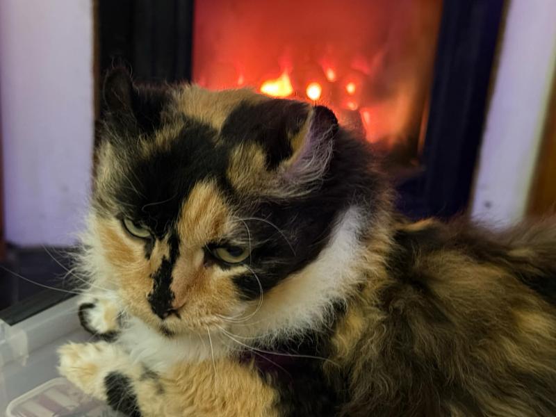 nina-fireplace.jpg